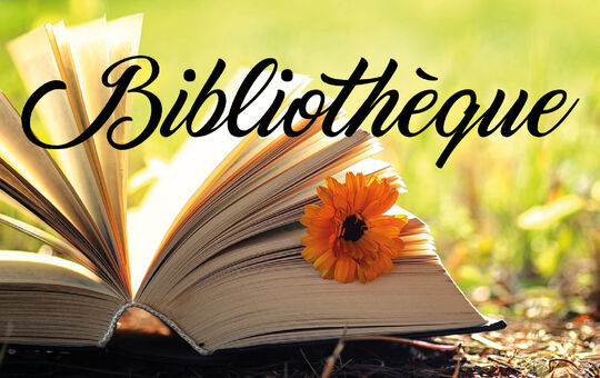 CONGÉS DE FIN D'ANNÉE DE LA BIBLIOTHÈQUE