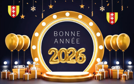 CÉRÉMONIE DES VOEUX